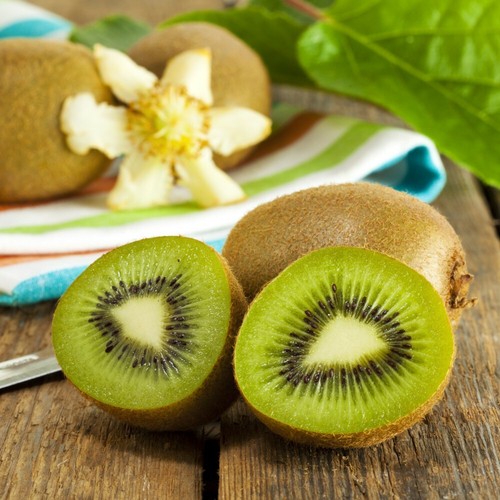 Kiwi jenny garden - kiwi,
