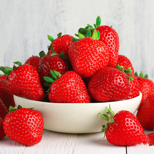 Strawberry cambridge - strawberry, 'cambridge