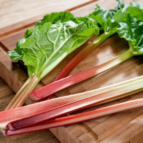 Rhubarb crowns victoria - 2,