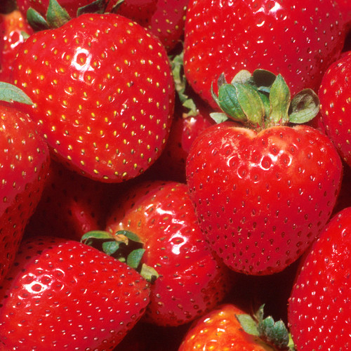 Strawberry marshmello fast - 'marshmello',